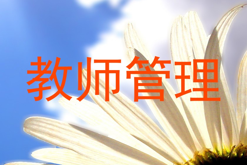 教师管理