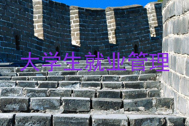大学生就业管理