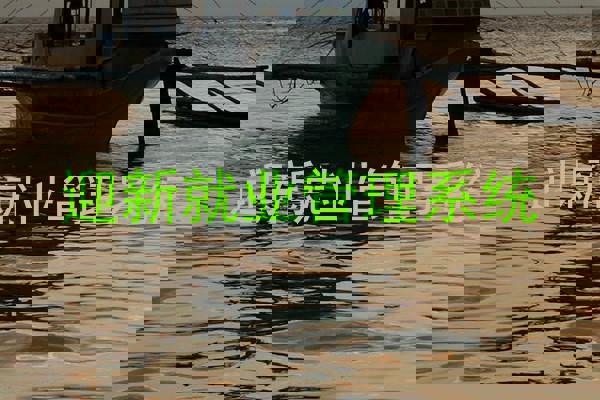 迎新就业管理系统