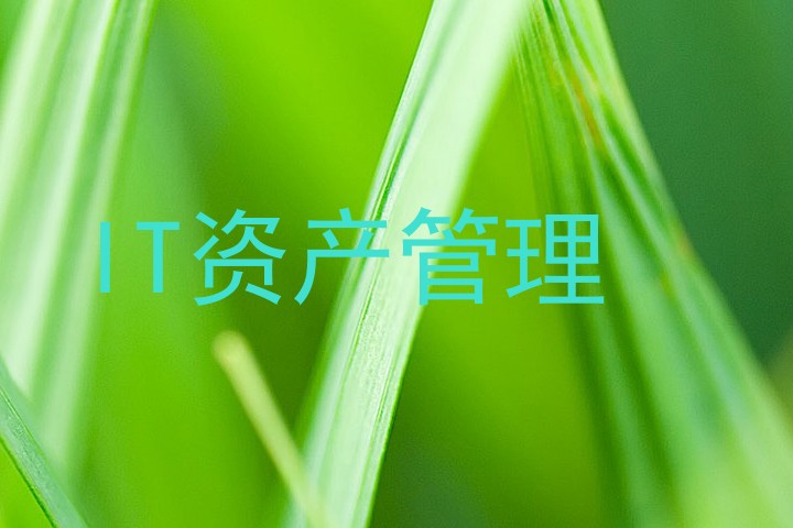 IT资产管理