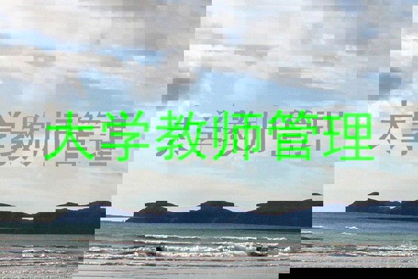 大学教师管理