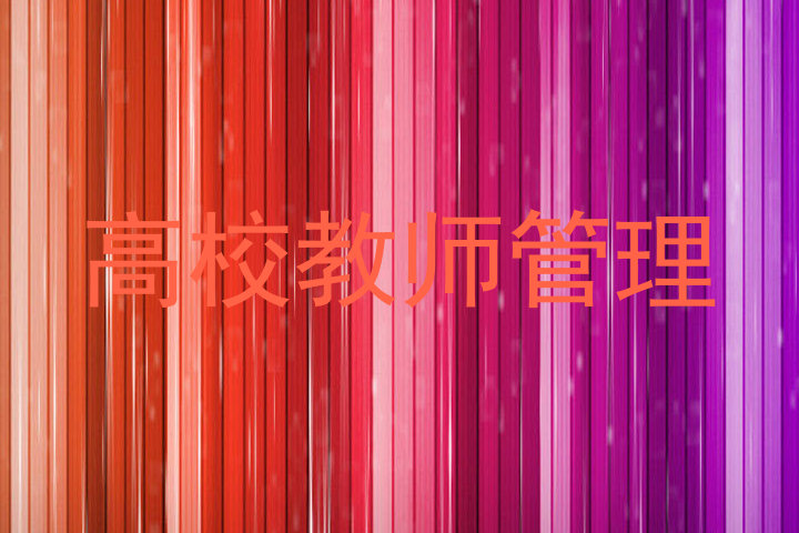 高校教师管理