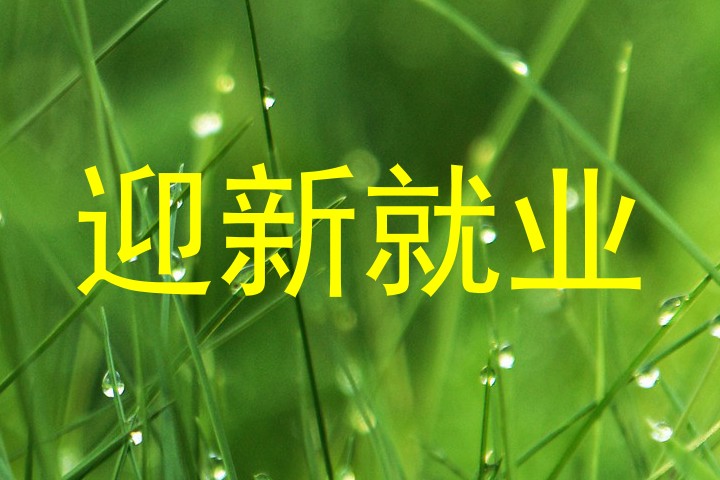 迎新就业