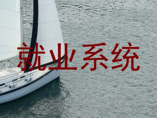 就业系统