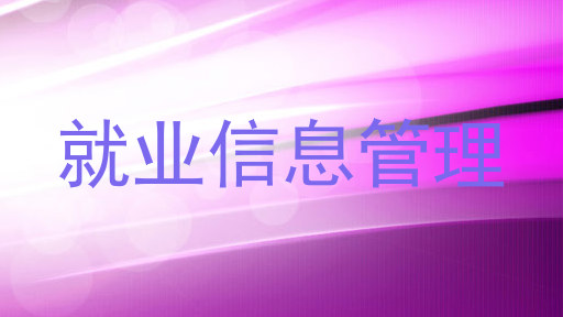 就业信息管理