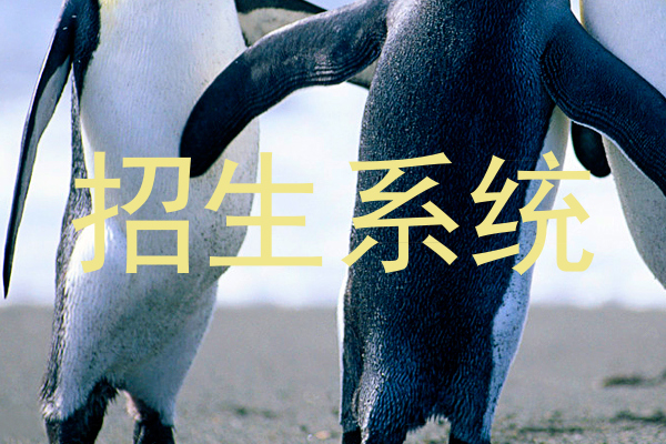 招生系统