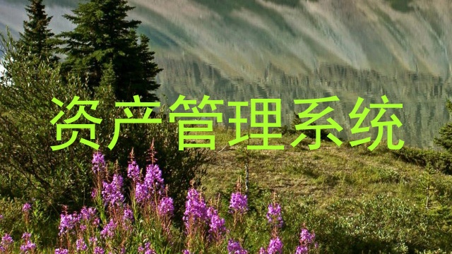 资产管理系统