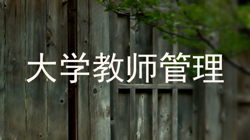 大学教师管理
