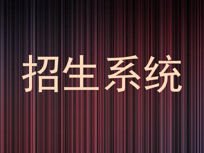 招生系统