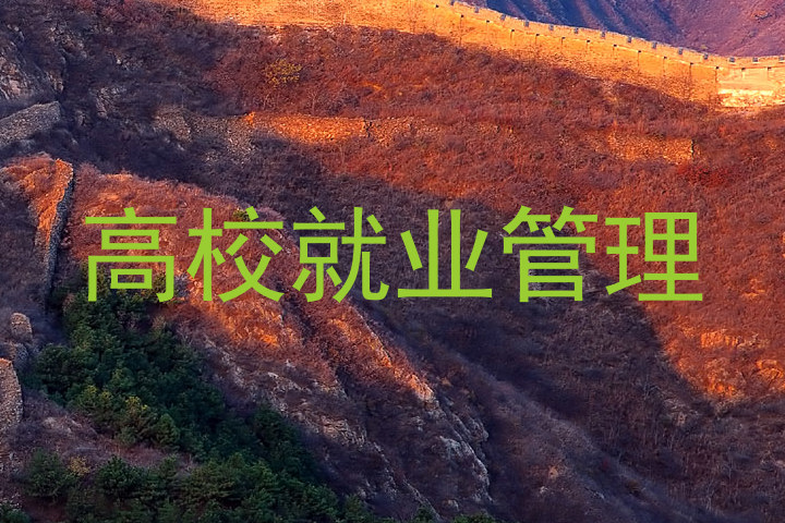 高校就业管理