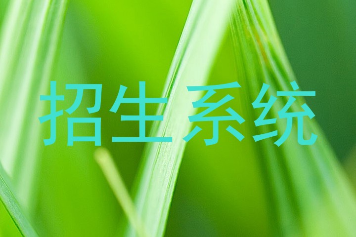 招生系统