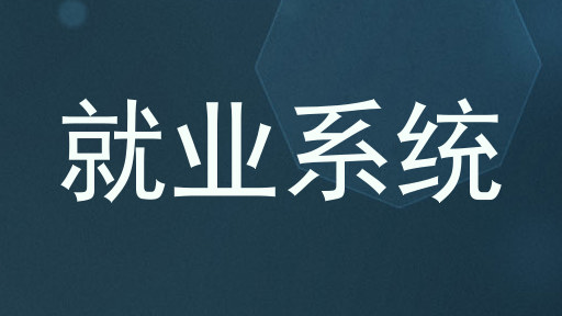 就业系统