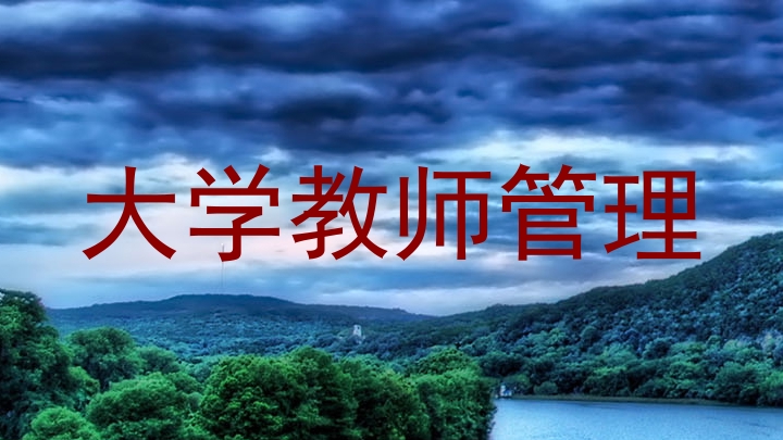 大学教师管理