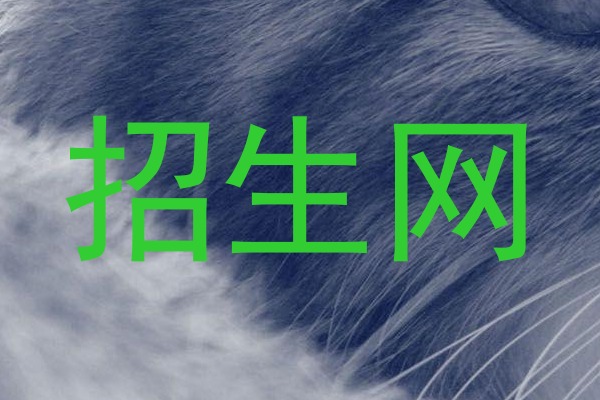招生网