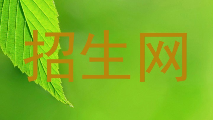 招生网