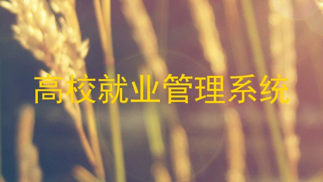 高校就业管理系统