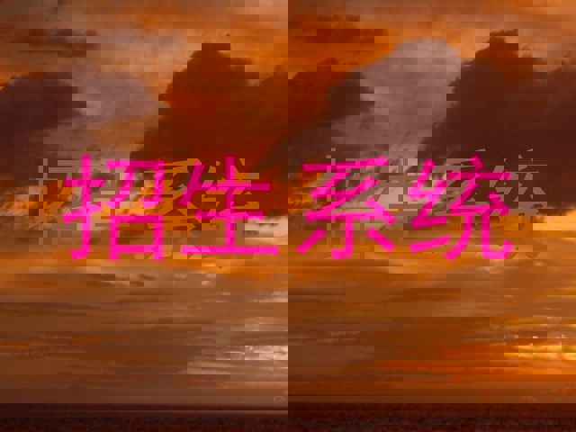 招生系统