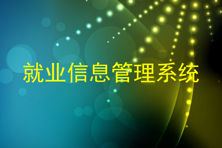 就业信息管理系统