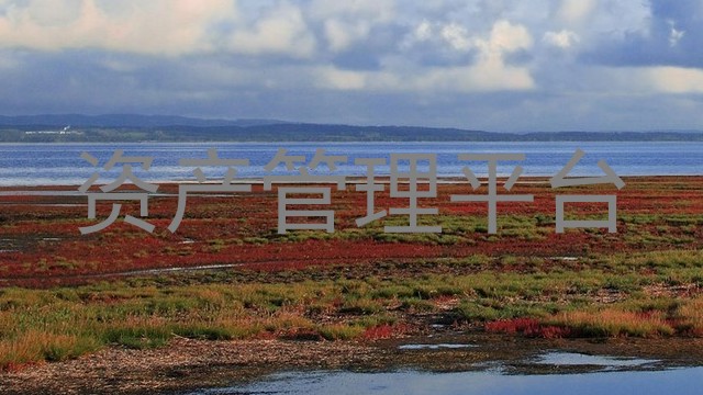 资产管理平台