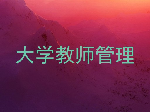 大学教师管理