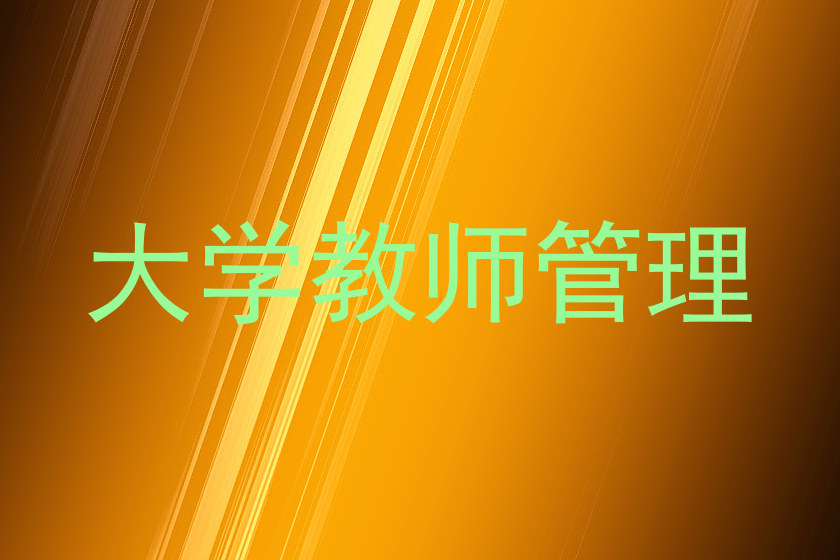 大学教师管理