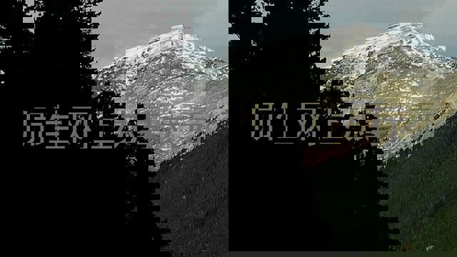 师生网上办事大厅