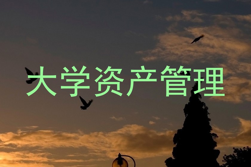 大学资产管理