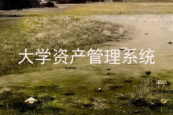 大学资产管理系统
