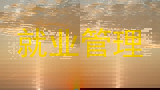 就业管理