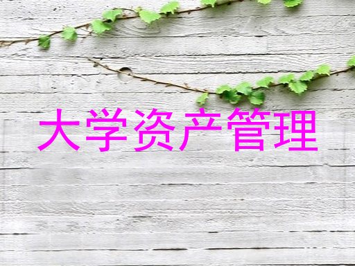 大学资产管理