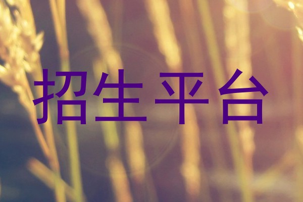 招生平台