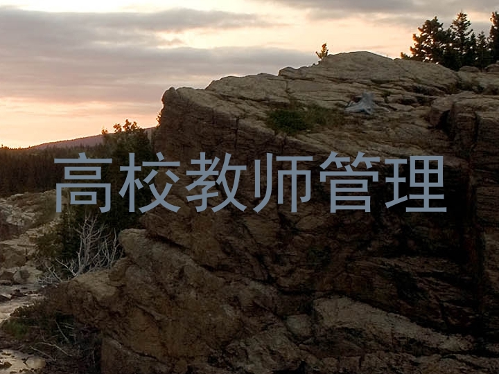 高校教师管理