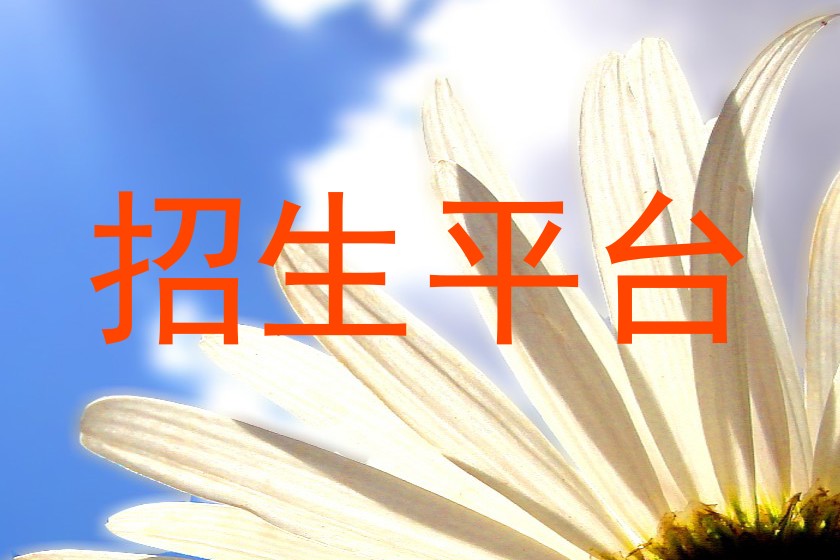 招生平台