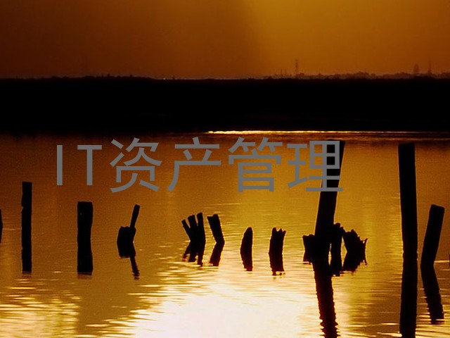 IT资产管理