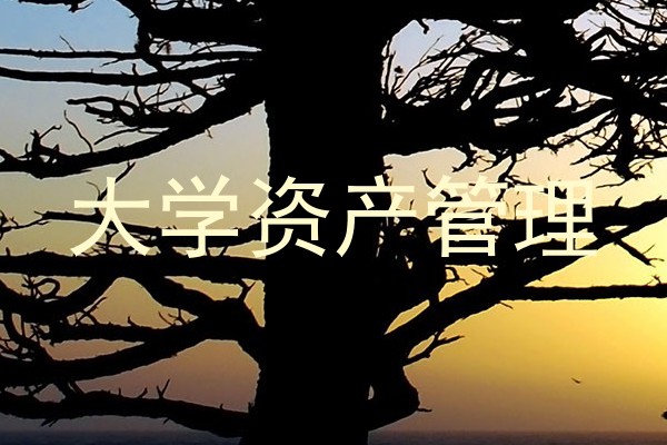大学资产管理