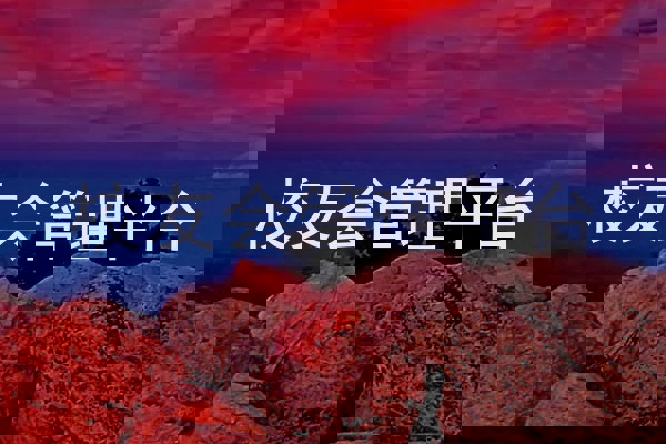 校友会管理平台