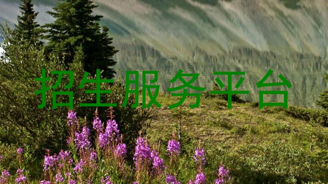 招生服务平台