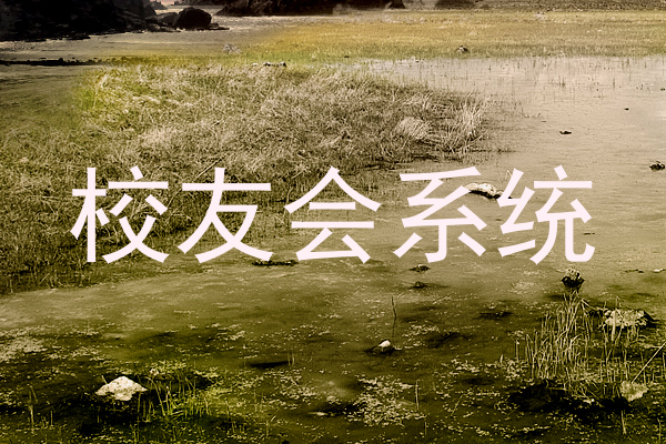 校友会系统
