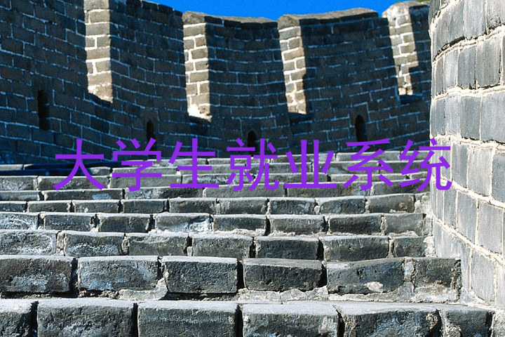 大学生就业系统