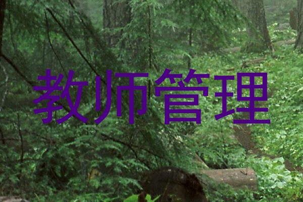 教师管理