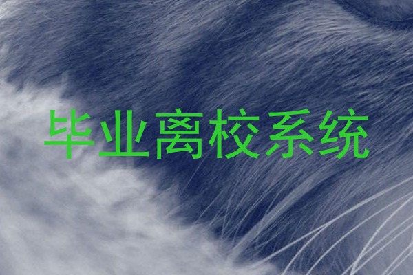 毕业离校系统
