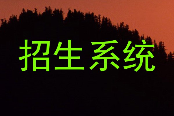 招生系统