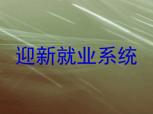 迎新就业系统