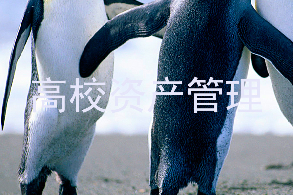 高校资产管理