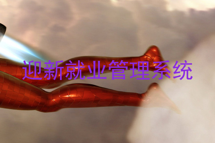 迎新就业管理系统