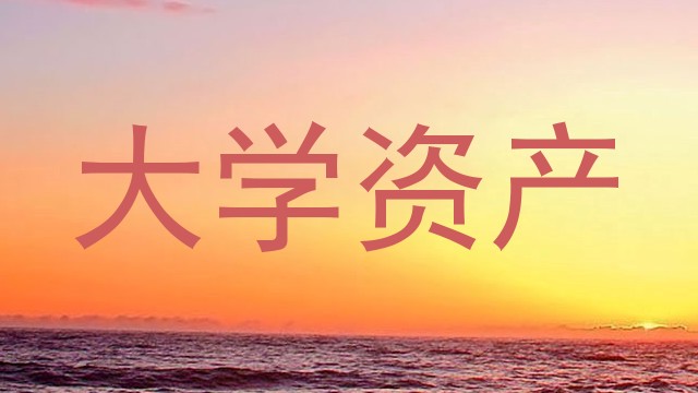 大学资产