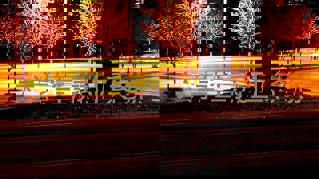 大学生就业系统