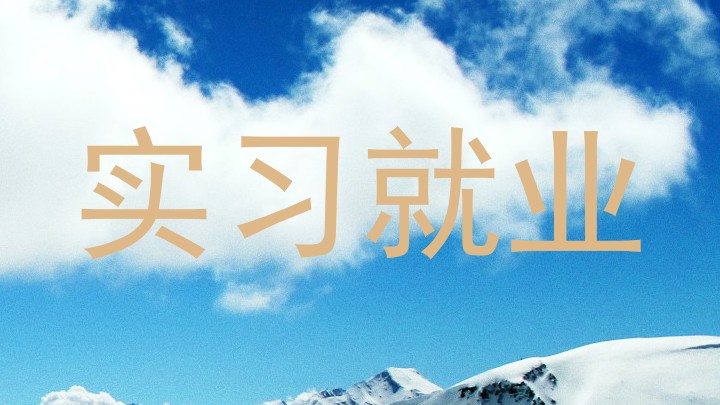 实习就业