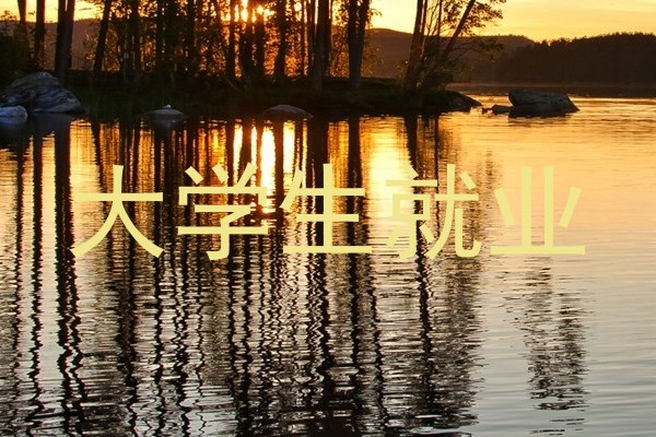 大学生就业
