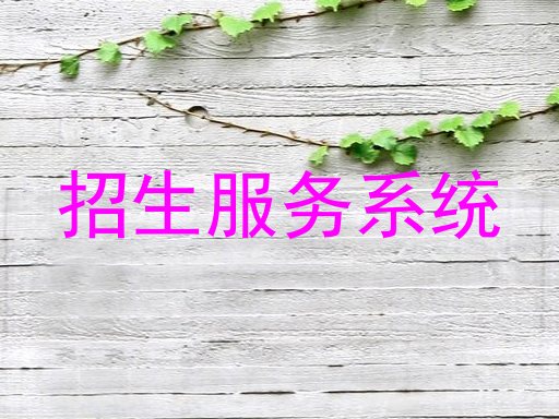 招生服务系统